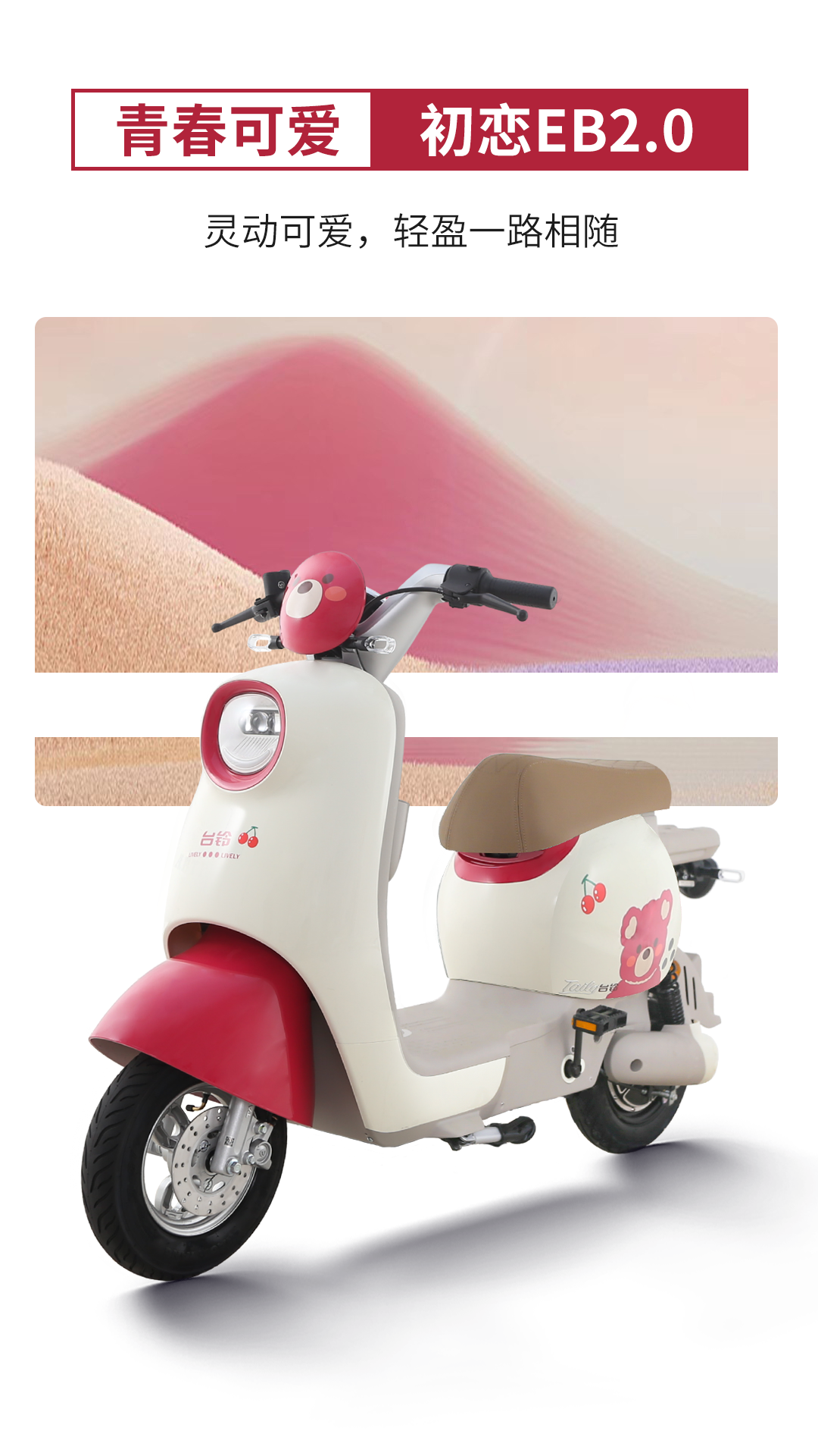 臺鈴長續(xù)航電動車
